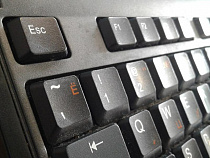 Экстремисты из Калининграда разжигали межнациональную рознь в интернете