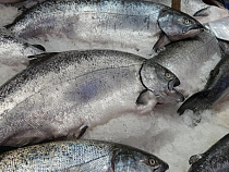 Санкции: немецкие журналисты обнаружили рост импорта лосося в Калининград