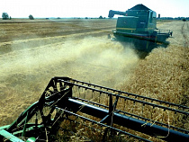 Облдума: Земли УФСИН для Калининградской области как бельмо на глазу