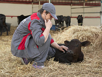 «Мираторг» организовал производственную практику для 48 студентов в Калининградской области в 2018 году