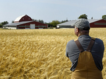 Начинающим фермерам Калининградской области выделили более 28 млн рублей