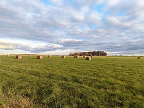 Последняя неделя октября в Калининградской области будет мокрой