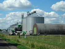 Назван объём экспортного зерна в Калининградской области