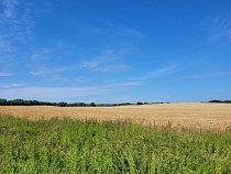 В Калининградской области сто человек уже пришли за 400 тыс. рублей 