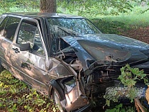 Вторая мать за неделю приехала с детьми в дерево в Калининградской области