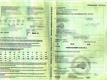 Поляки поймали калининградцев на X5 и «Мерседесе» с поддельными литовскими полисами