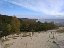 Куршская коса просит общественников помочь в борьбе с вандалами