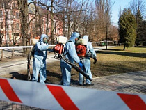 В Калининградской области зафиксированы первые случаи укусов клещей