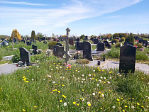 В Балтийске нашли место для ещё одного кладбища