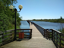 На бывшего главу Янтарного завели уголовное дело