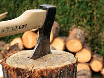 Майор Шманский нарубил деревья на 0,45 млн рублей