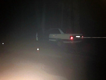 Под Светлогорском «Ауди» улетел в придорожное дерево