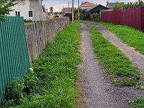 Ушлый дачник из Калининграда прислуживал мигрантам