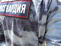 В Росгвардии предостерегли от наведения оружия на людей