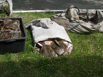 Рыбакам-браконьерам присудили штрафы более чем на 245 тысяч рублей   