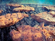 В Калининграде растёт спрос на услуги шашлычников