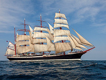 На всех парусах: барк «Седов» взял курс на Калининград