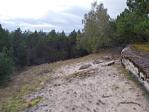 Росприроднадзор запутался с Дровняшиным на Куршской косе