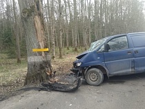 После наезда «Мицубиси» на дерево возбуждено дело