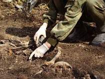 Калининградский алгоритм: утвержден порядок по перезахоронению останков, обнаруженных в процессе строительства