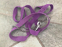 Житель Калининграда в ходе ссоры убил собаку гражданской жены