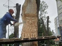 В Зеленоградске бензопилой украшают дерево, которое зверски обрезали  