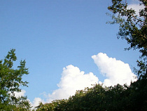 В центре Балтийска уровень бензина в воздухе превышен в три раза