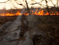В Неманском районе охранник поджёг поле у объекта энергетики