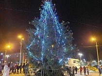 В Нестерове установили настоящую 11-метровую новогоднюю ёлку