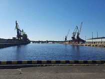 Партия куриного мяса из Аргентины задержана в порту Калининграда