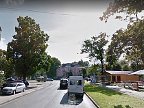 Мэрию Калининграда наказывают за падение дерева на машину взысканием в 90 тысяч рублей