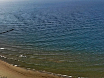 В 2017 году в Калининградской области увеличили квоту на вылов салаки 