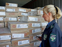 Мясо из Южной Америки и Турции чаще всего смущает специалистов