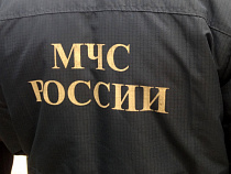 Под Багратионовском сгорела дача, а в Славском районе – придорожное дерево