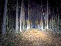 В Гурьевском районе ночью часами искали женщину