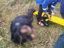 Пьяный мужчина закрыл за собой купальный сезон в Дейме