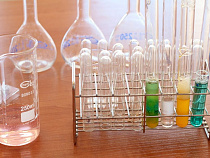 Подросток обчистил кабинет химии в школе под Зеленоградском