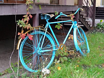 Калининградец ушёл в отпуск, чтобы красть велосипеды