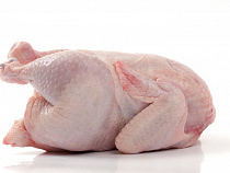 В Калининградской области 26 тонн куриного мяса из Турции не прошли ветеринарный контроль