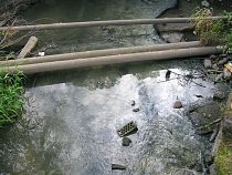 Определился подрядчик на расчистку Менделеевская ручья в Калининграде