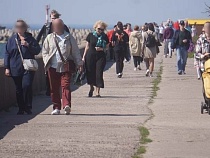 Власти Балтийска пообещали остановить поток людей с «добром» в кусты