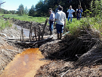 Экологи: "Лукойл" загрязняет реку в Калининградской области