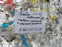 В Калининграде на рынок спешно выводят рекордное число новостроек