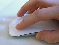 Калининградцам предложили оценить эффективность работы руководителей муниципальных образований 