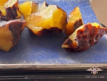 Двух янтарных дайверов жёстко приняли в море под Светлогорском (видео)