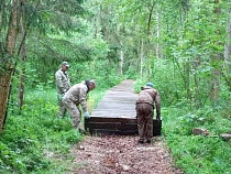 Королевский бор Куршской косы стал для туристов ещё загадочнее