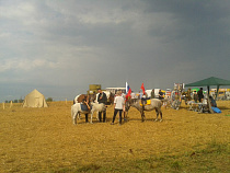 Калининградский губернатор обрушился с резкой критикой на организаторов фестиваля «Защитники Отечества»