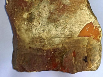 Янтарный комбинат добыл 300 тонн янтаря досрочно