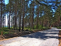 На окраине Калининграда прокладывают дорогу к новому пляжу 