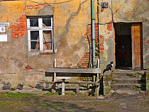 В Приморье женщину смертельно ранили в шею 